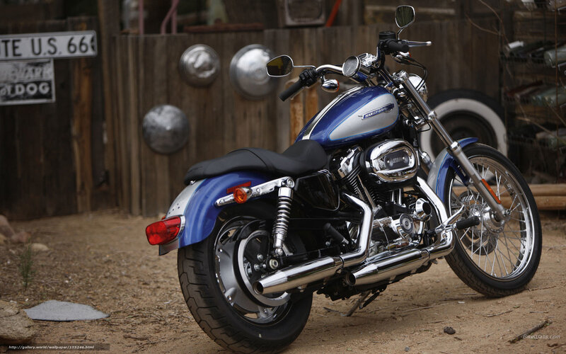 Blue Harley-davidson Motorcycle — Rustic