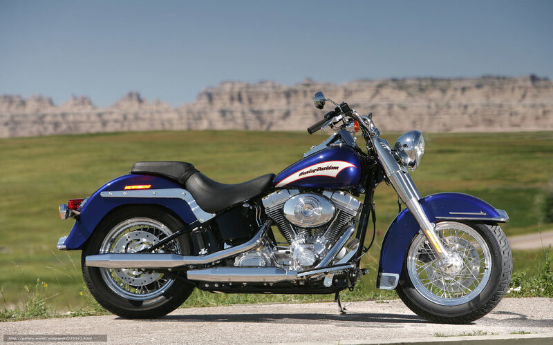 Blue Harley-davidson Motorcycle — Serene, Afternoon, Photograph, Grass Field, Rock Formations