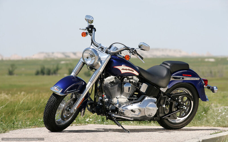 Blue Harley-davidson Motorcycle — Serene, Afternoon, Photograph, Grass Field