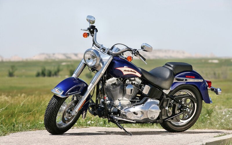 Blue Harley-davidson Motorcycle — Serene, Afternoon, Photograph, Grass