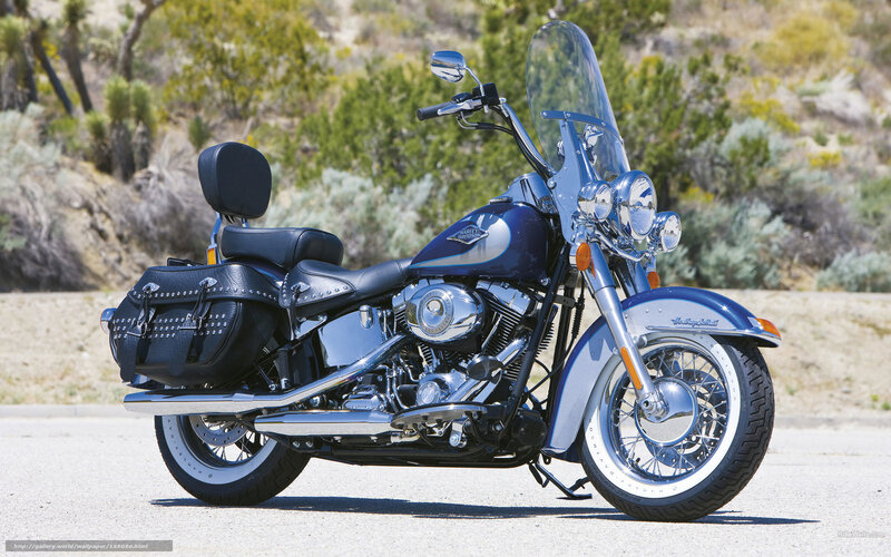 Blue Harley-davidson Motorcycle — Serene, Afternoon, Photograph, Saddlebags