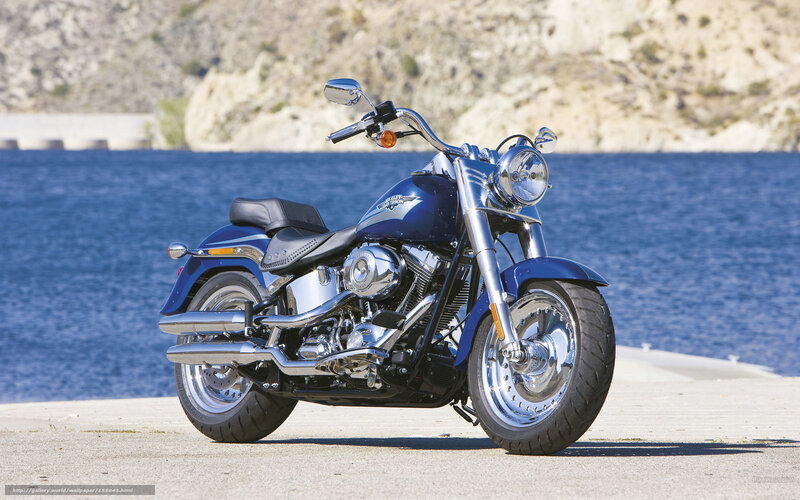 Blue Harley-davidson Motorcycle — Serene, Afternoon, Photograph