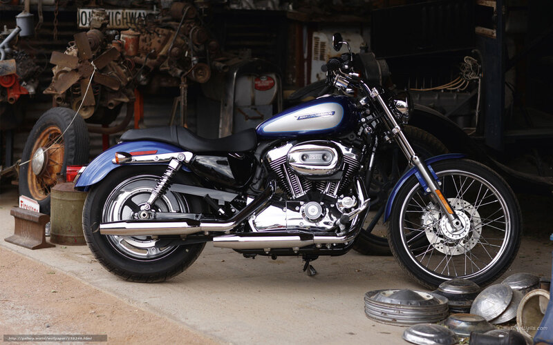 Blue Harley-davidson Motorcycle — Static
