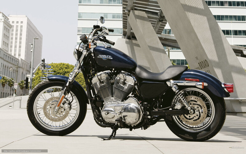 Blue Harley-davidson Motorcycle — Urban, Afternoon