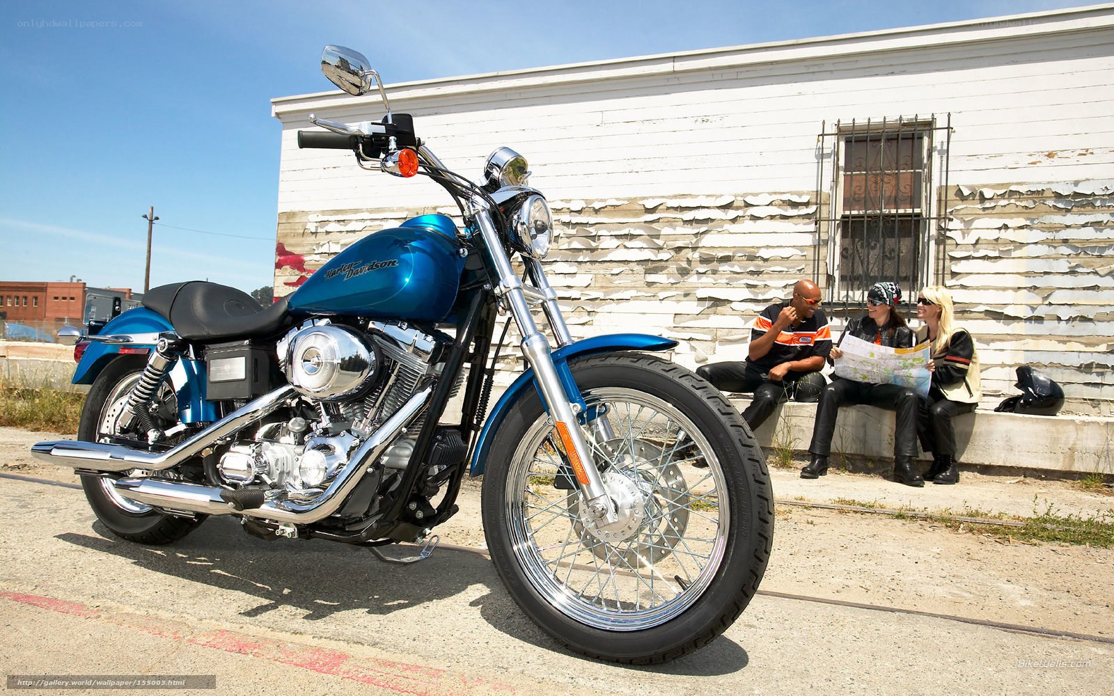Blue Harley-Davidson motorcycle with riders