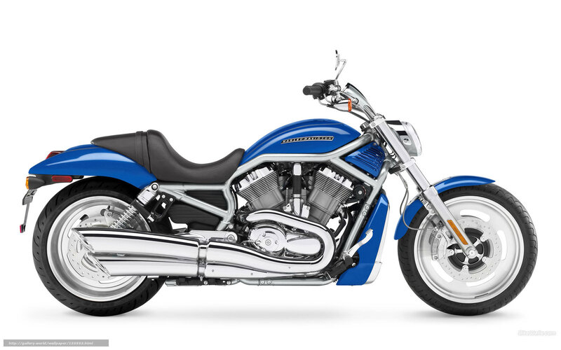 Blue Harley-Davidson V-Rod