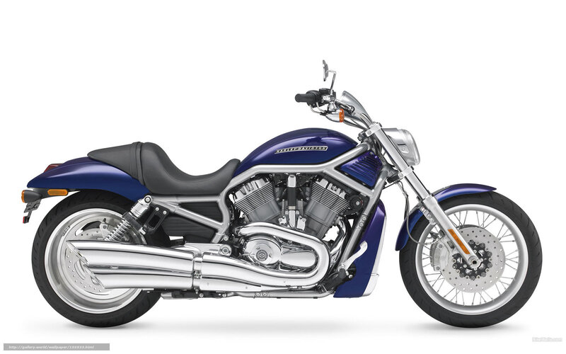 Blue Harley-Davidson V-Rod