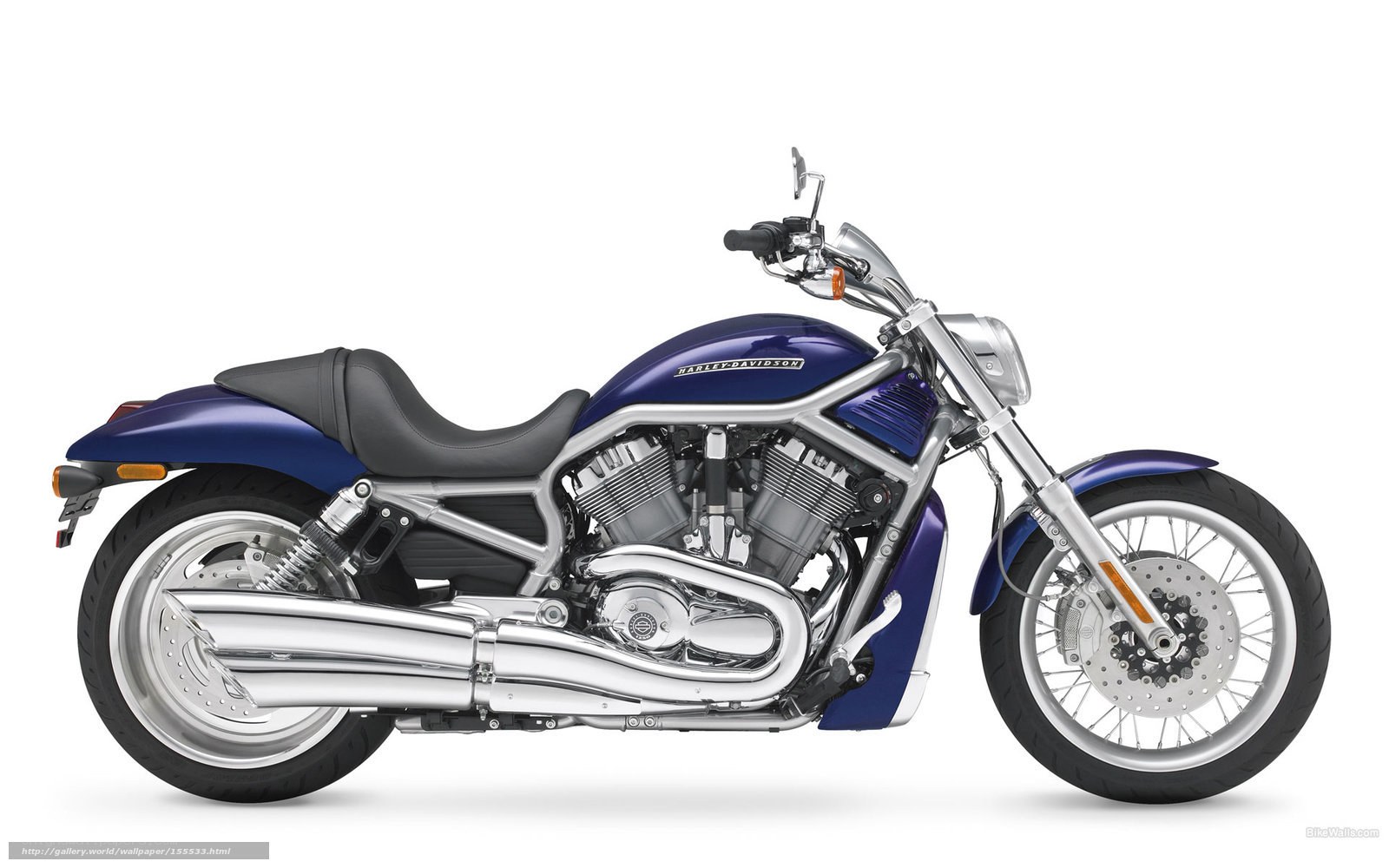 Blue Harley-Davidson V-Rod