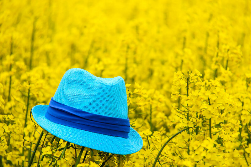 Blue Hat in Flower Field