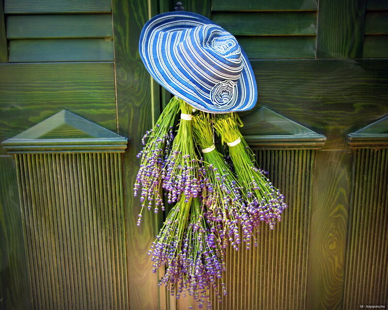 Blue Hat with Lavender