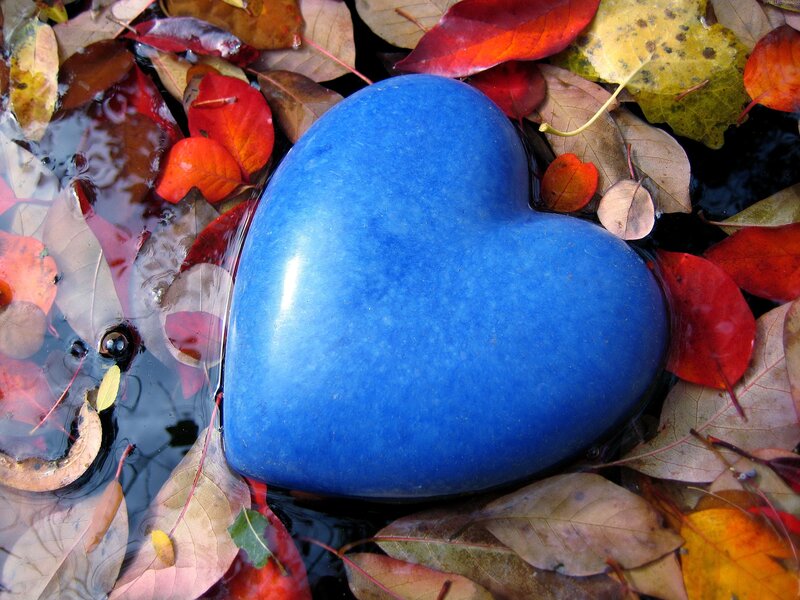 Blue heart among autumn leaves
