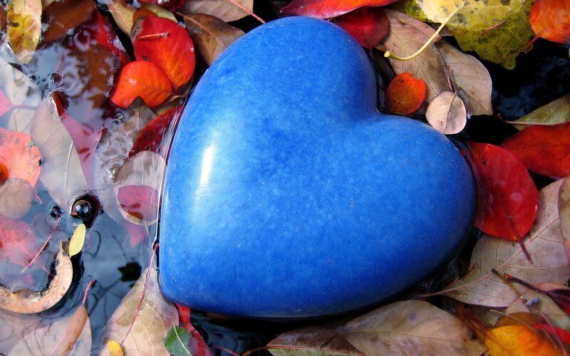 Blue heart in autumn leaves