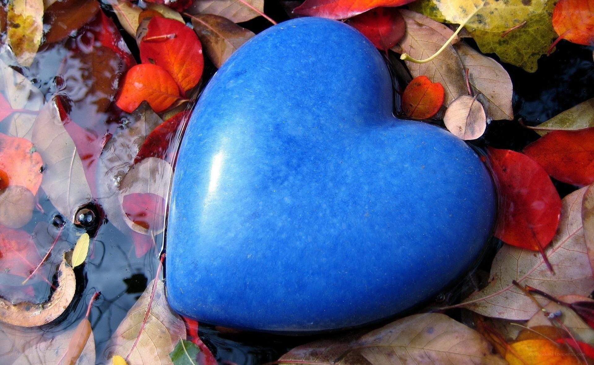 blue heart in autumn leaves