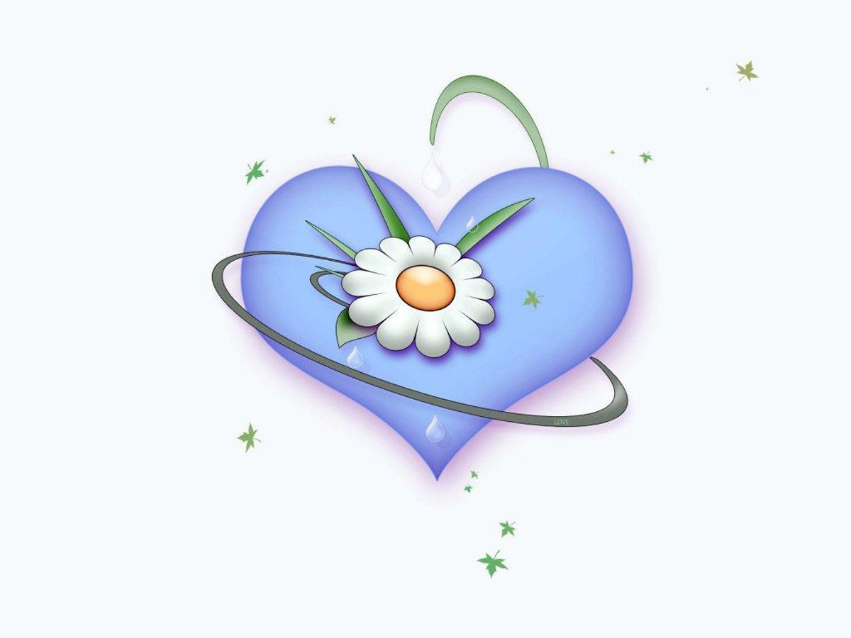 blue heart with daisy flower