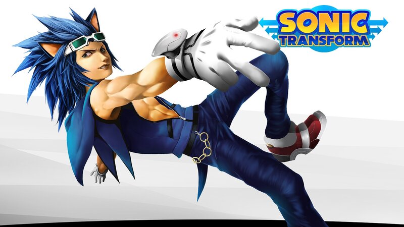 Blue Hedgehog Character — Action