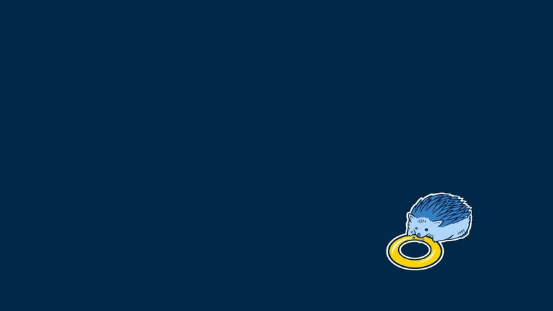 Blue Hedgehog with Ring
