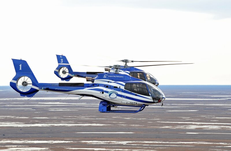 Blue Helicopters in Flight — Calm