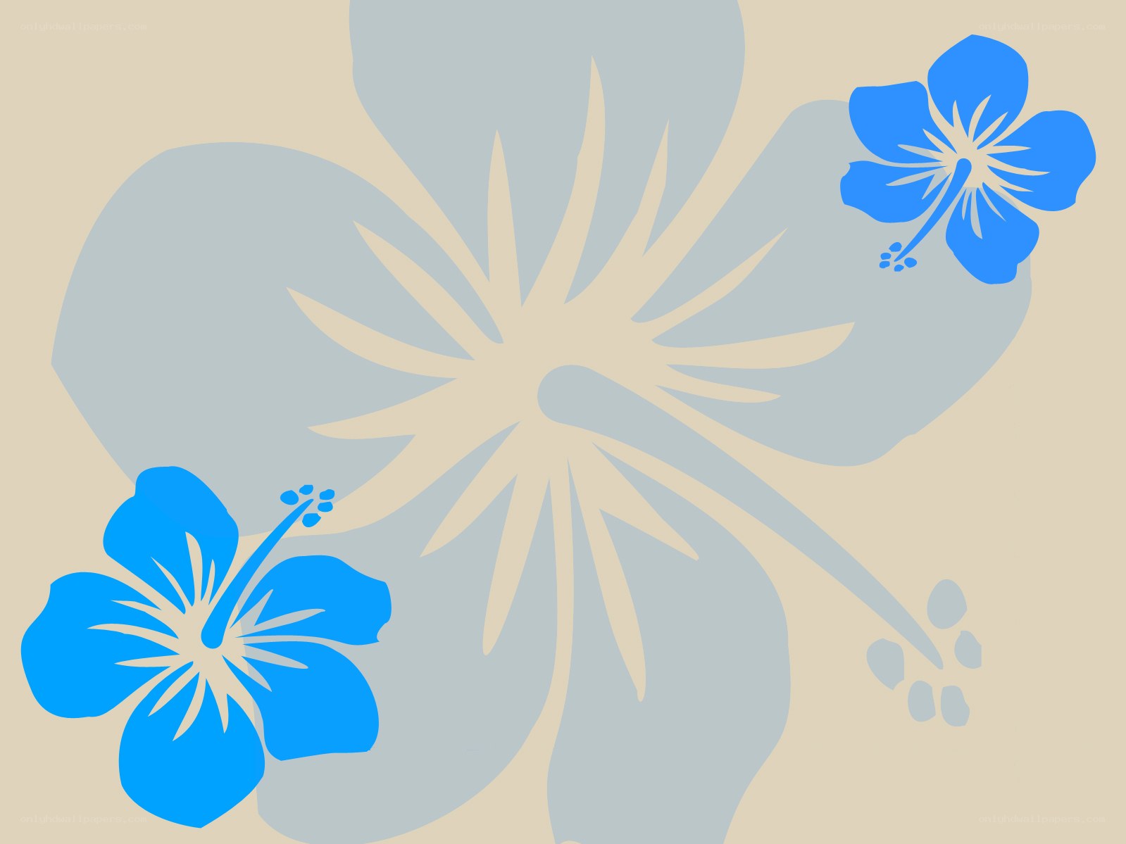 blue hibiscus flower design