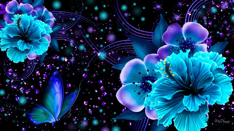 Blue Hibiscus Flowers — Dreamy