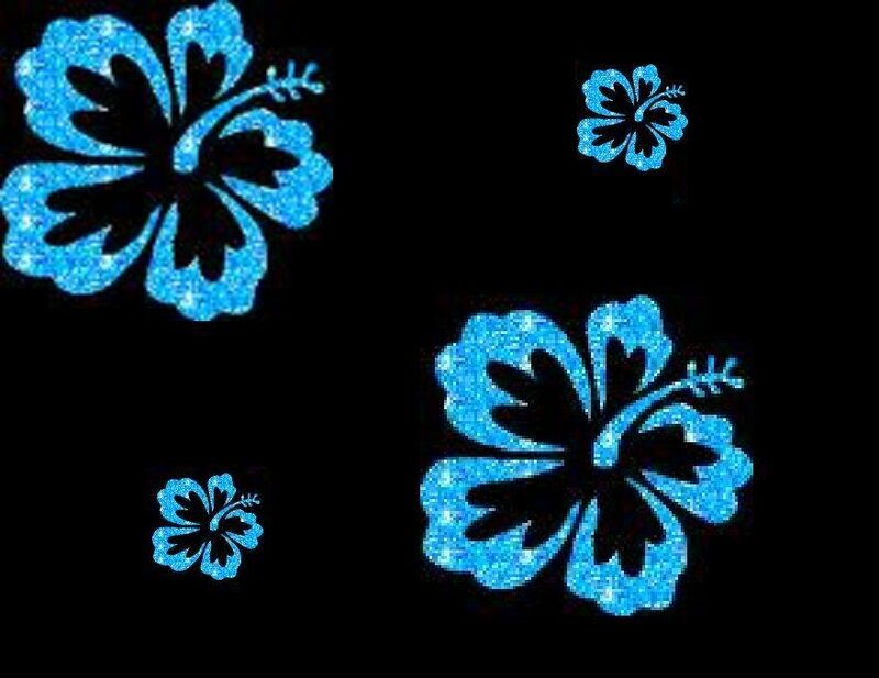 blue hibiscus flowers