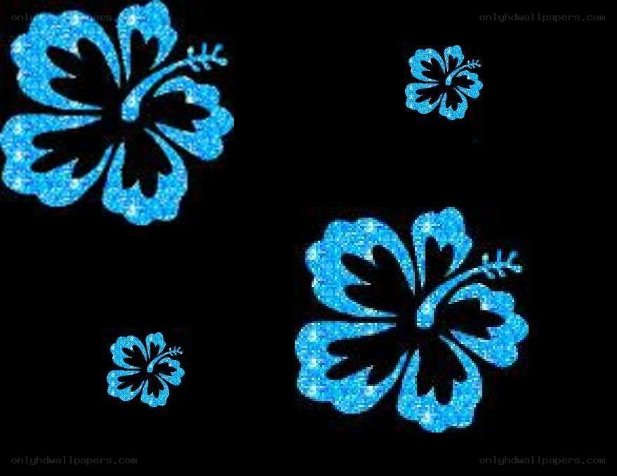 blue hibiscus flowers