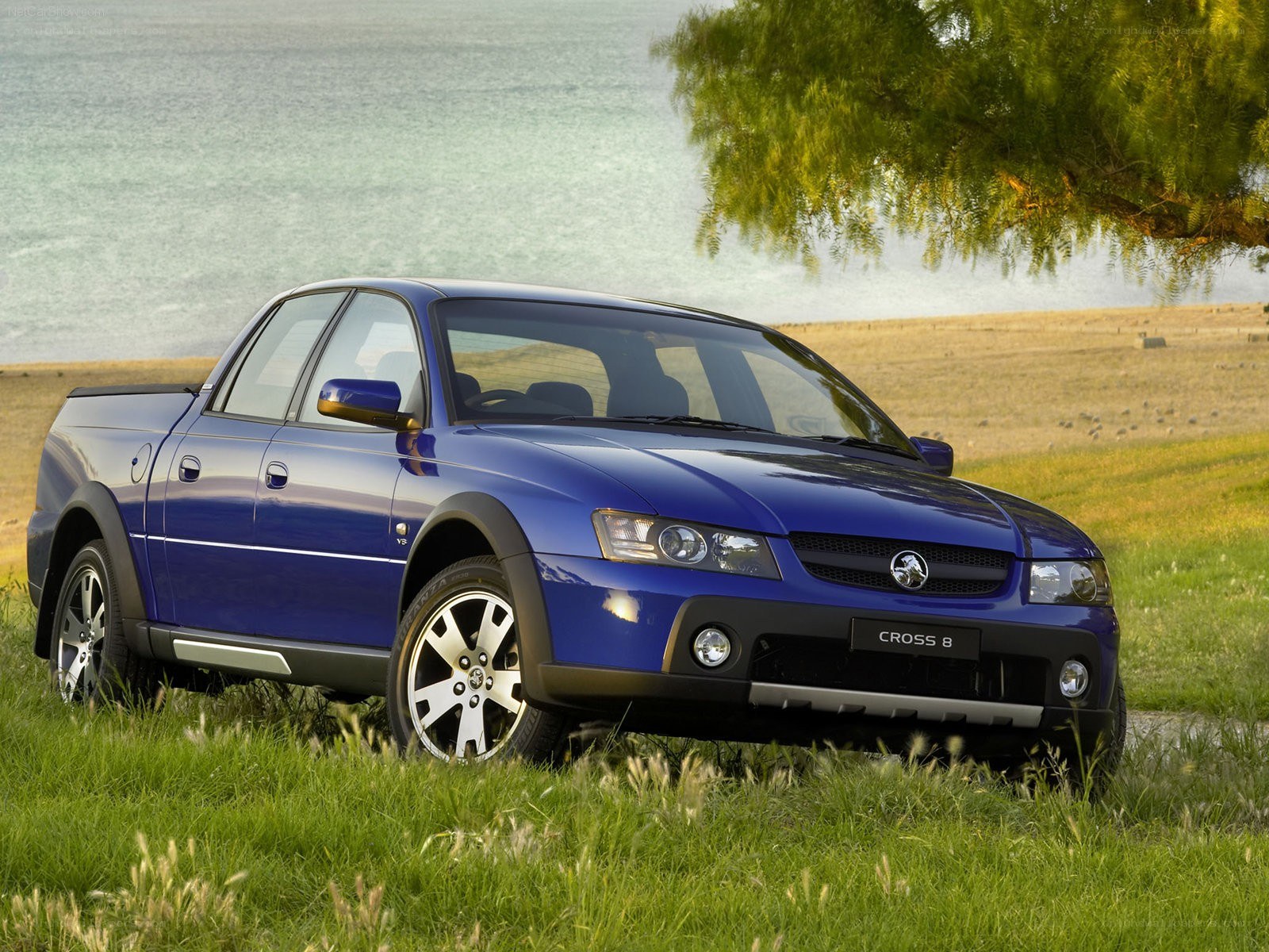 blue Holden Cross 8 pickup