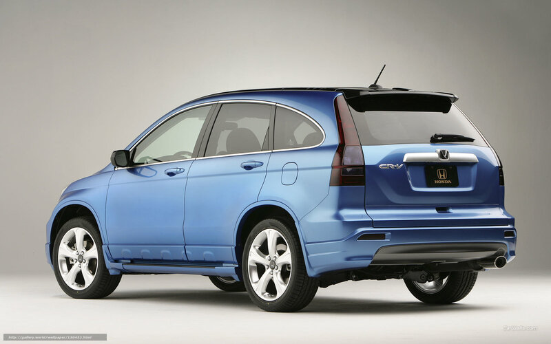 Blue Honda CR-V rear view