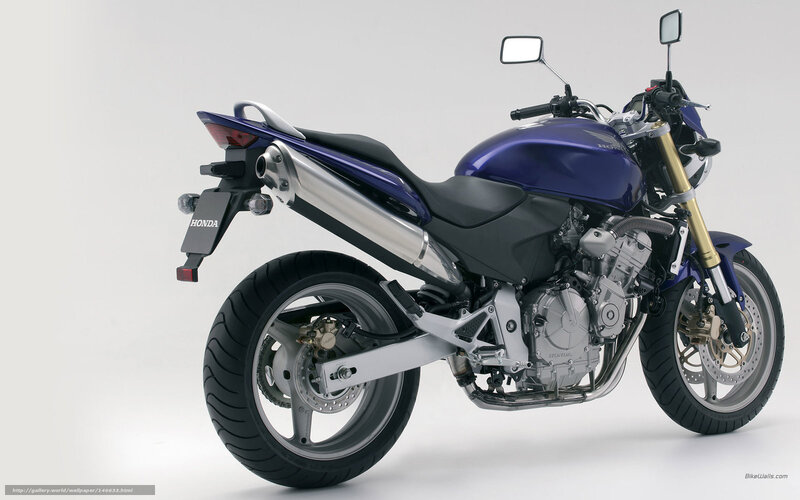 Blue Honda Motorcycle — Neutral, Photograph, Exhaust Pipe