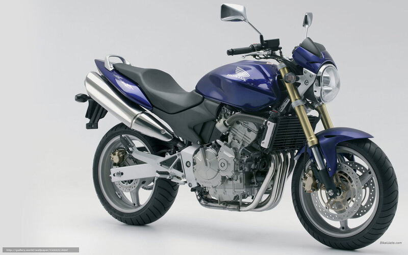 Blue Honda Motorcycle — Neutral, Photograph, Seat, Exhaust