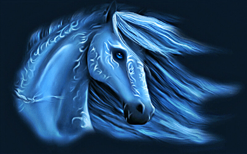 Blue Horse Head — Dramatic, Digital Art