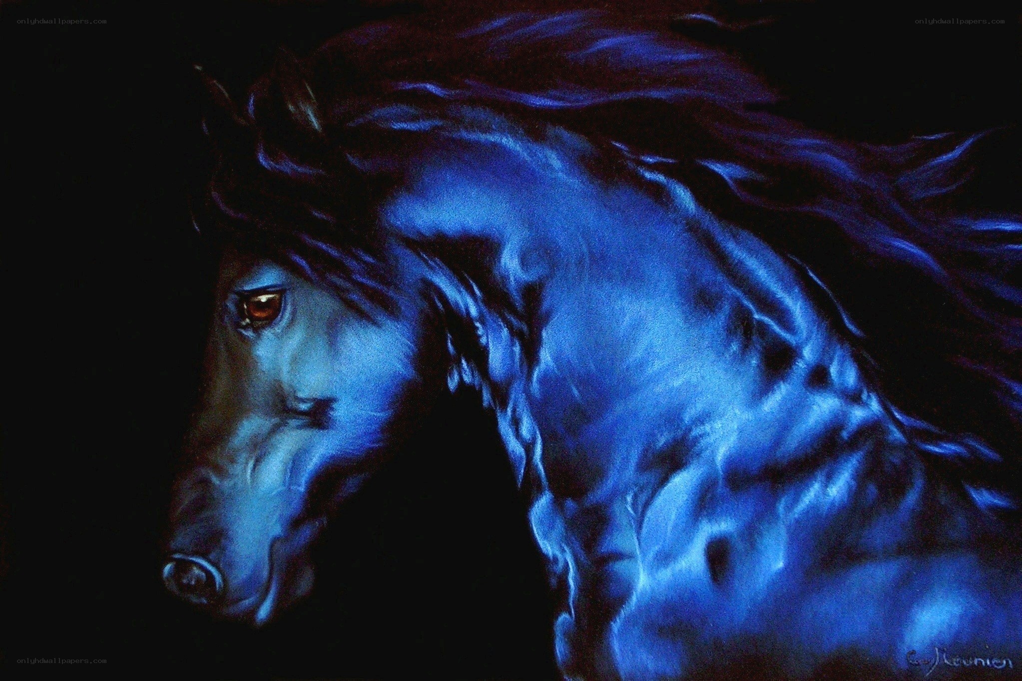 blue horse in darkness