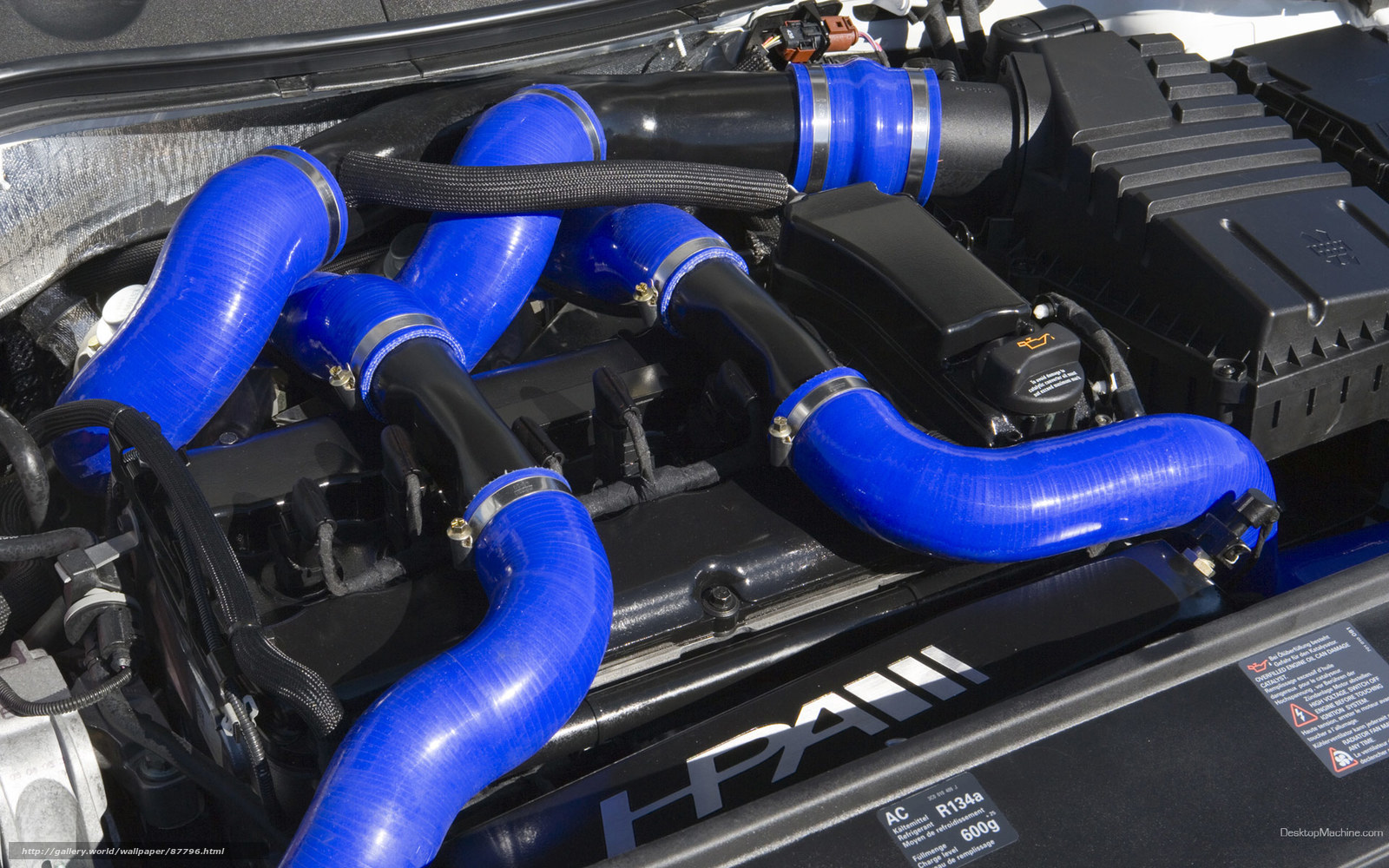 blue hoses in engine bay
