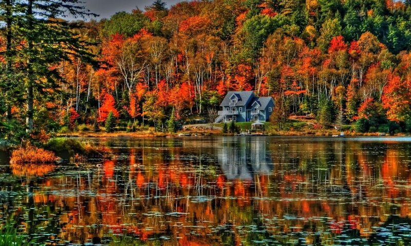 Blue House by Lake