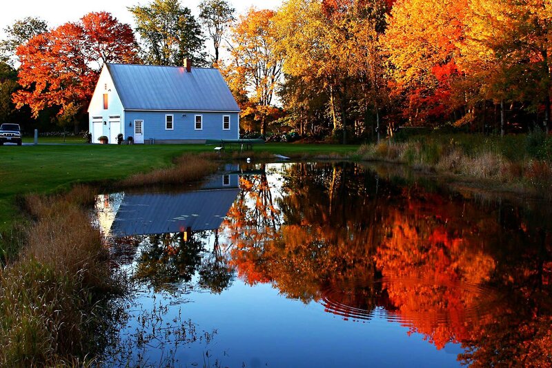 Blue House by Pond — Serene