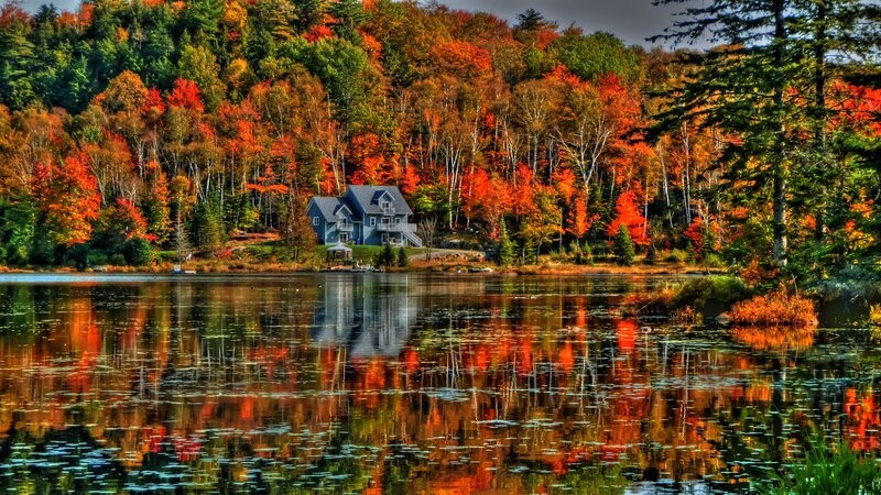 Blue House on Lake Shore