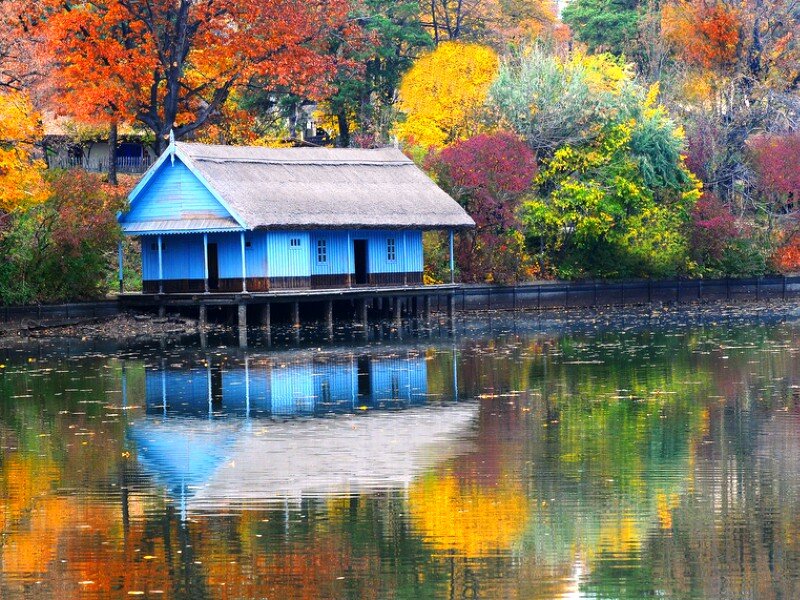 Blue House on Stilts
