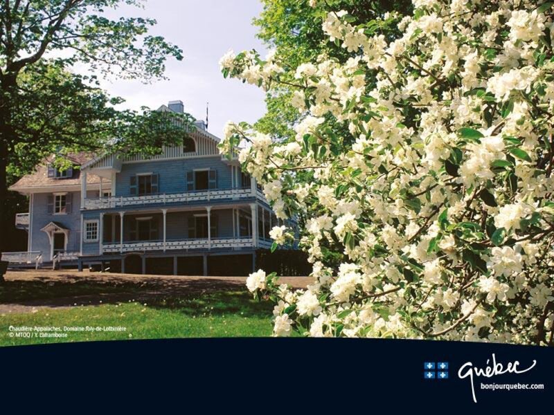 Blue House with Blossoms