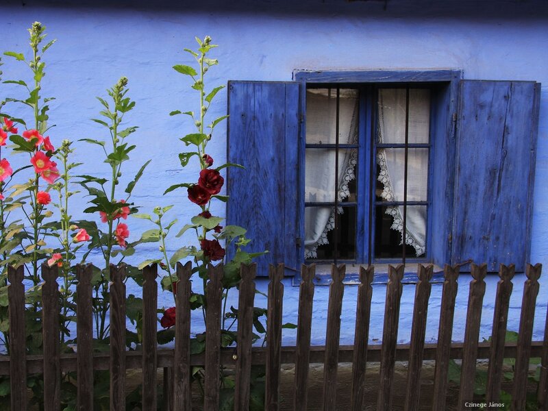 Blue House with Flowers — Serene, Summer