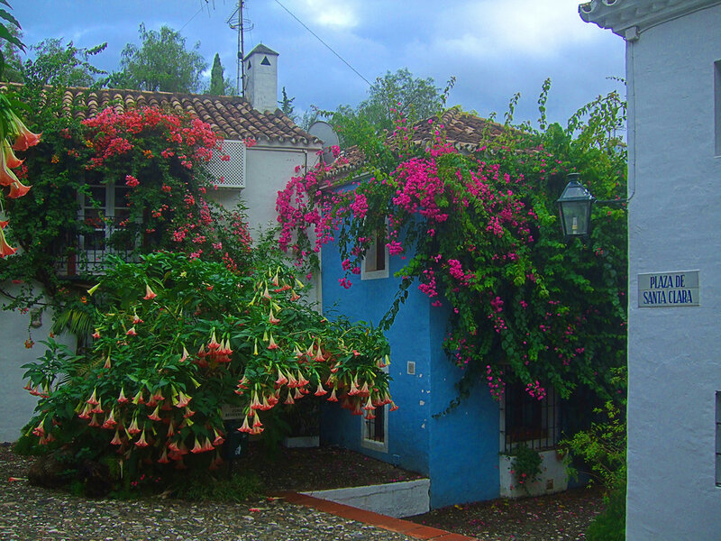 Blue House with Flowers