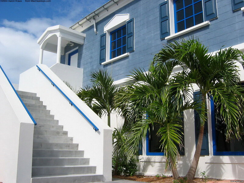 Blue House with Palm Trees — Serene