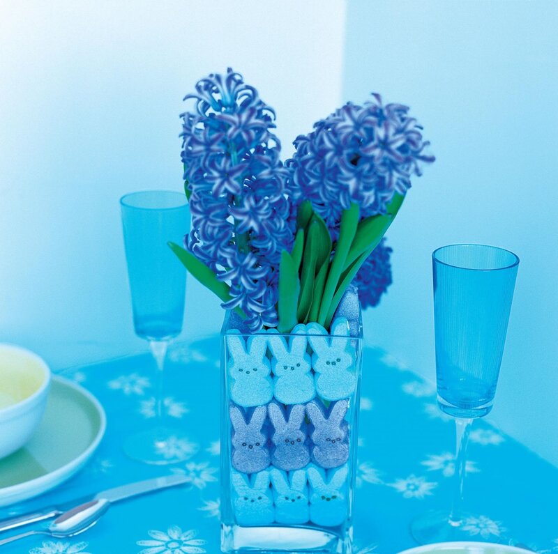Blue Hyacinth in Vase