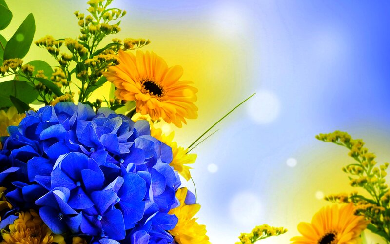 Blue Hydrangea and Sunflowers