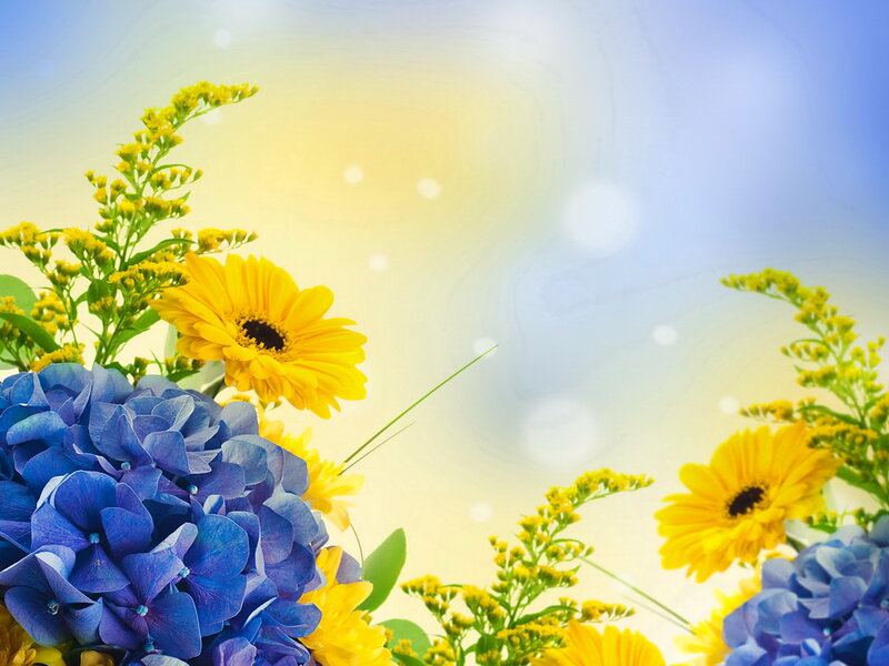 Blue Hydrangea and Yellow Flowers