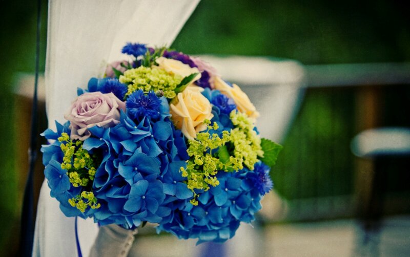 Blue Hydrangea Bouquet — Calm, Photograph, Roses