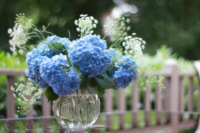 Blue Hydrangea Bouquet — Serene, Afternoon