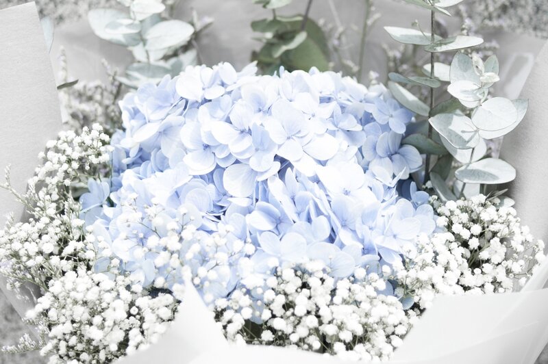 Blue Hydrangea Bouquet — Serene, Photograph, Eucalyptus