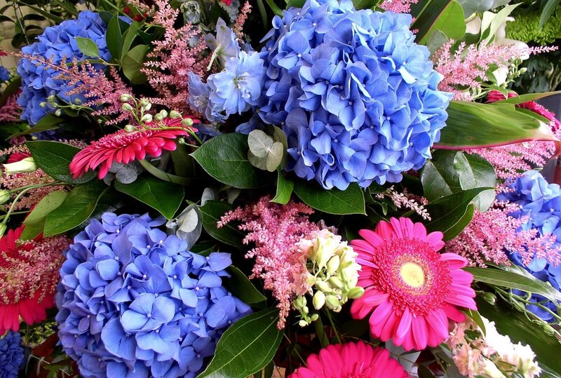 Blue Hydrangea Bouquet — Vibrant, Photograph