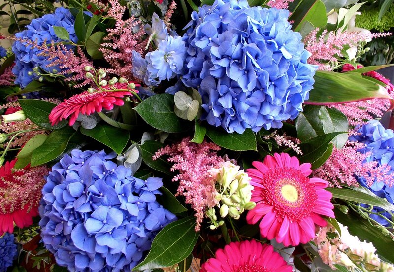 Blue Hydrangea Bouquet — Vibrant