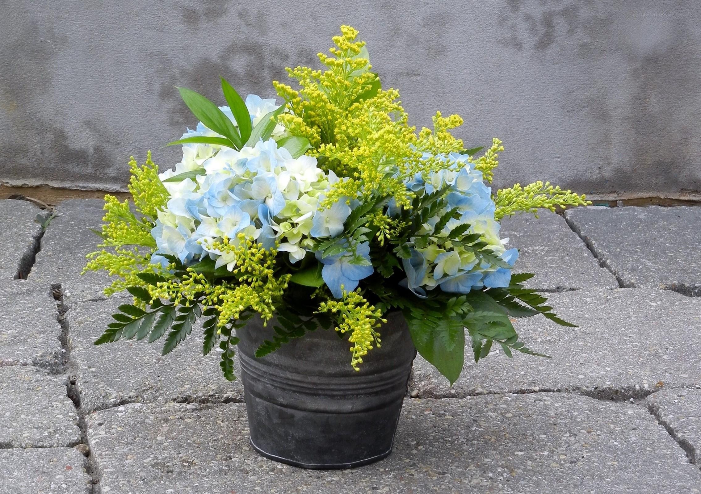 blue hydrangea flower arrangement