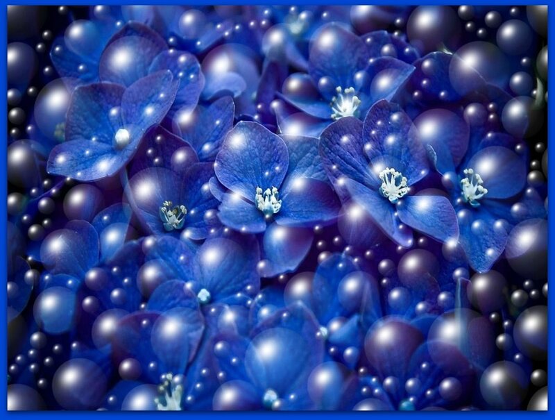Blue Hydrangea Flowers — Dreamy, Digital Art